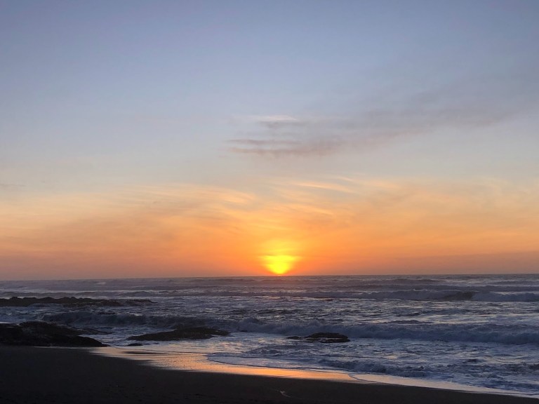 As the Sun Sets on ‘25, Wildcats Reflect