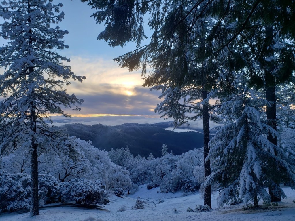 Snow-covered landscape at sunset with trees in the foreground and mountains in the background.